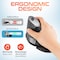 Delton Ergonomic Vertical Wireless Mouse w/ USB Dongle, 6 Buttons, Adjustable DPI, Right Handed DMERGS22-WB - alternate 3